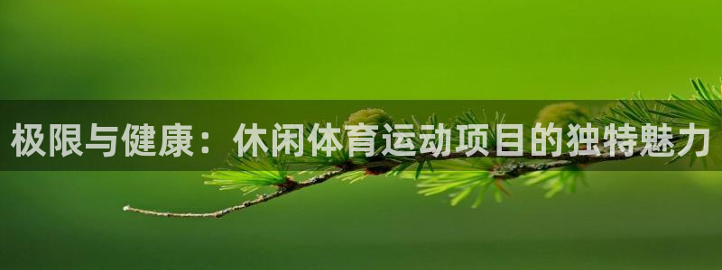 球速体育：极限与健康：休闲体育运动项目的独特魅力