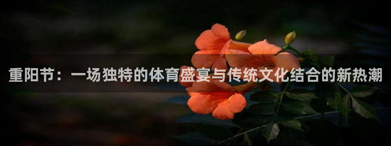 球速体育：重阳节：一场独特的体育盛宴与传统文化结合的新热潮