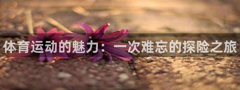球速体育：体育运动的魅力：一次难忘的探险之旅