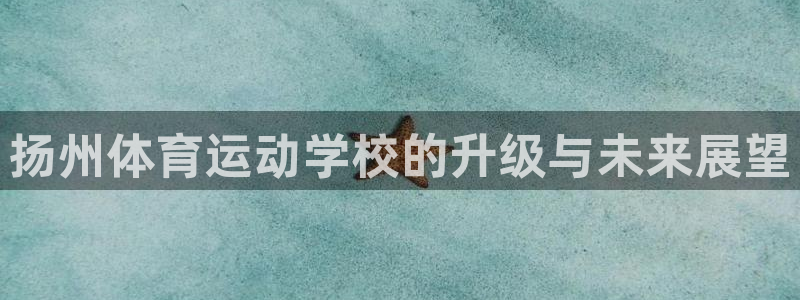 球速体育：扬州体育运动学校的升级与未来展望