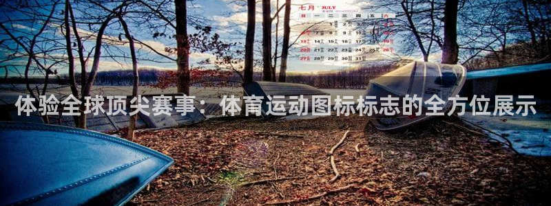球速体育：体验全球顶尖赛事：体育运动图标标志的全方位展示