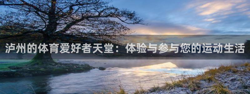 球速体育：泸州的体育爱好者天堂：体验与参与您的运动生活