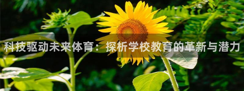 球速体育：科技驱动未来体育：探析学校教育的革新与潜力