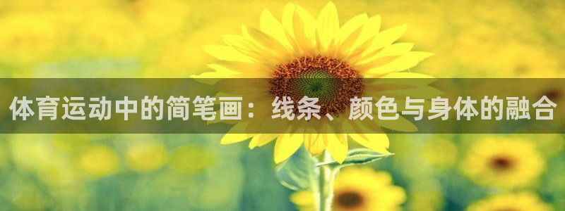 球速体育：体育运动中的简笔画：线条、颜色与身体的融合
