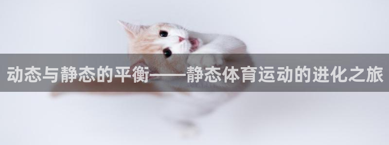 球速体育：动态与静态的平衡——静态体育运动的进化之旅