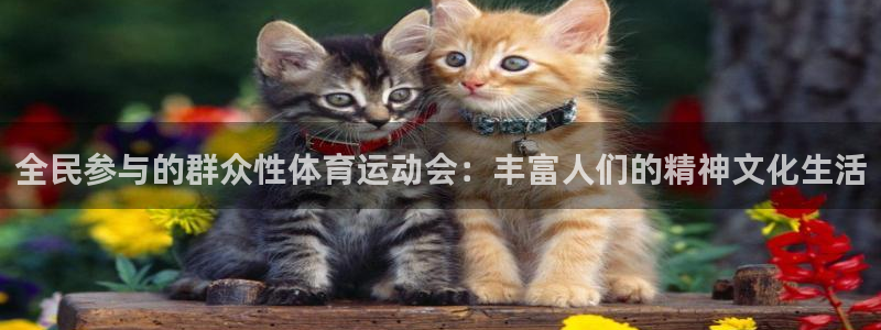 球速体育：全民参与的群众性体育运动会：丰富人们的精神文化生活